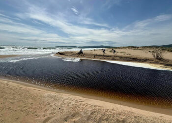 Студентски практики на българското и адриатическо крайбрежие