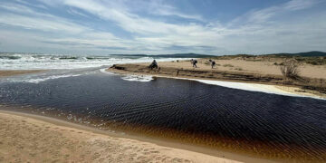 Студентски практики на българското и адриатическо крайбрежие