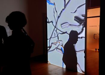 Боклукчийски кофи с видеомонолози в Двореца