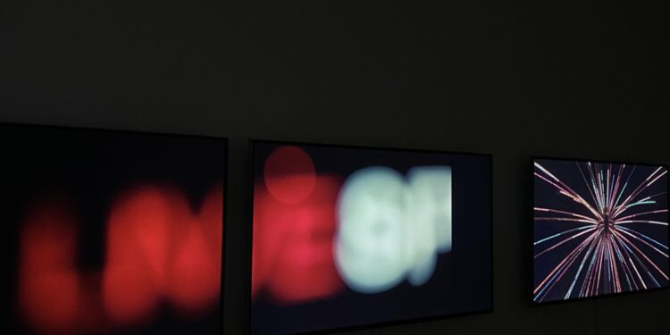 Боклукчийски кофи с видеомонолози в Двореца