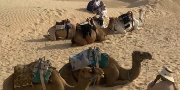 На юг от познатото