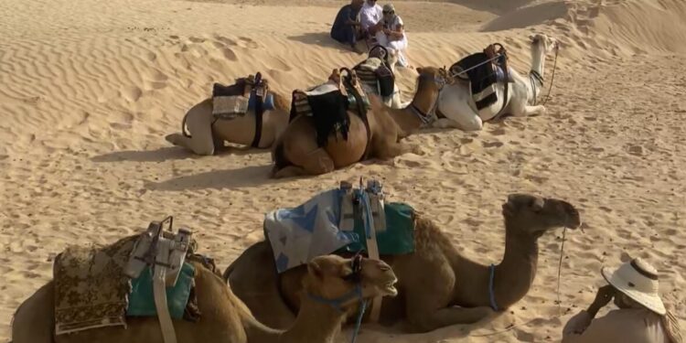 На юг от познатото