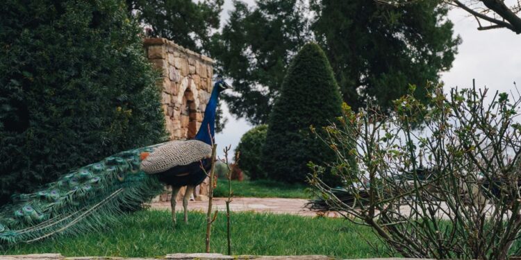 Неизказани истории на Априлското въстание оживяват в Кремиковския манастир